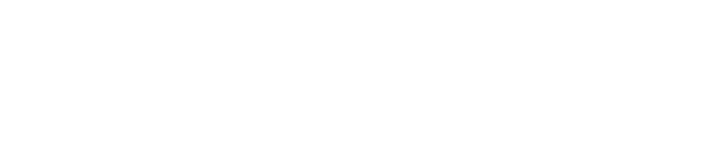 VIP133